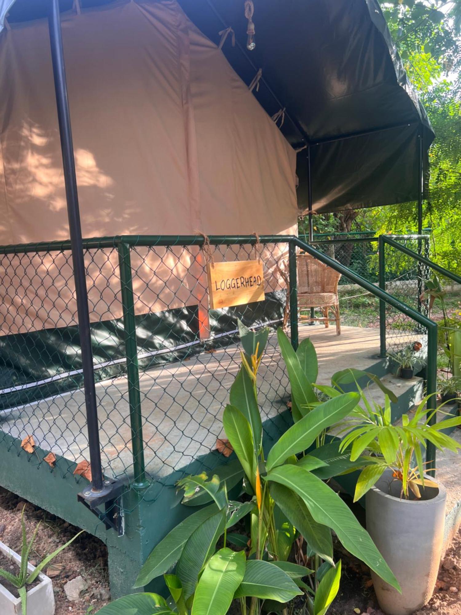 Отель At One - Glamping Rekawa Экстерьер фото